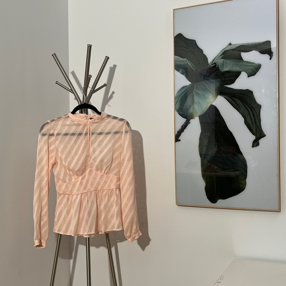 2/40$ 🛍 Sheer Blush Blouse